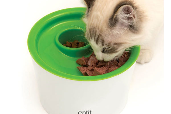 Cat-Food-Bowl