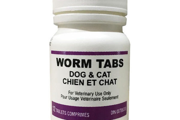 Dog-Cat-Worm-Tabs