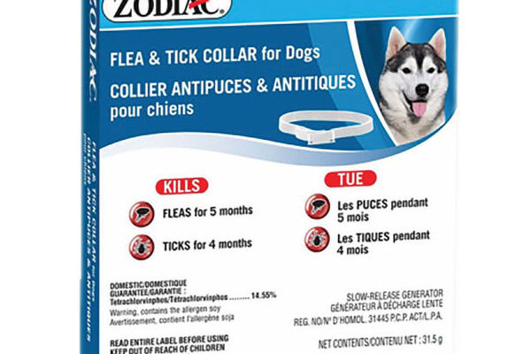 Dog-Flea-&-Tick-Collar