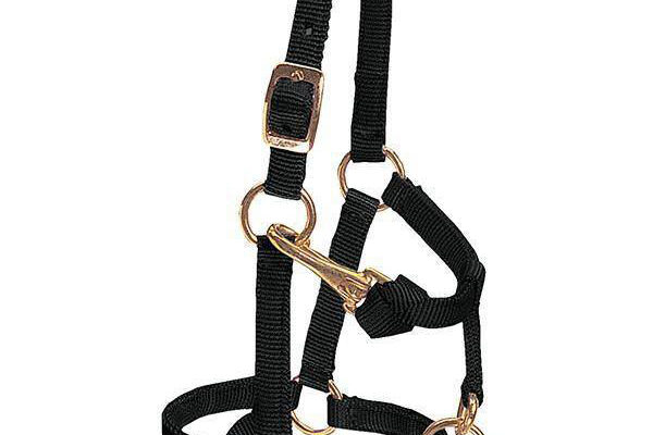 Halter-Black