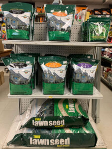 Premium lawn seed