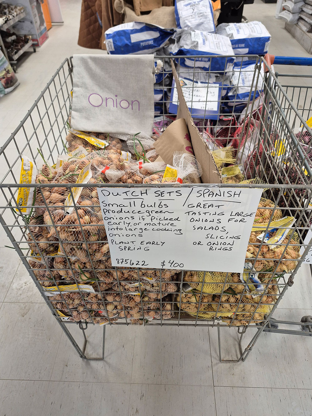 Onions for Sale
