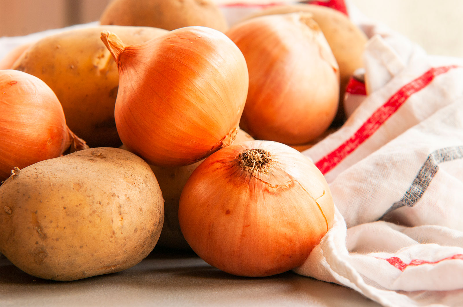 Planting Season is Here: Onions & Seed Potatoes Now In Stock