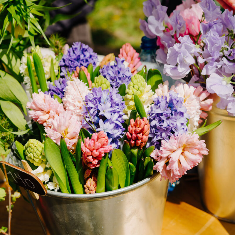 Flowers for sale at a market