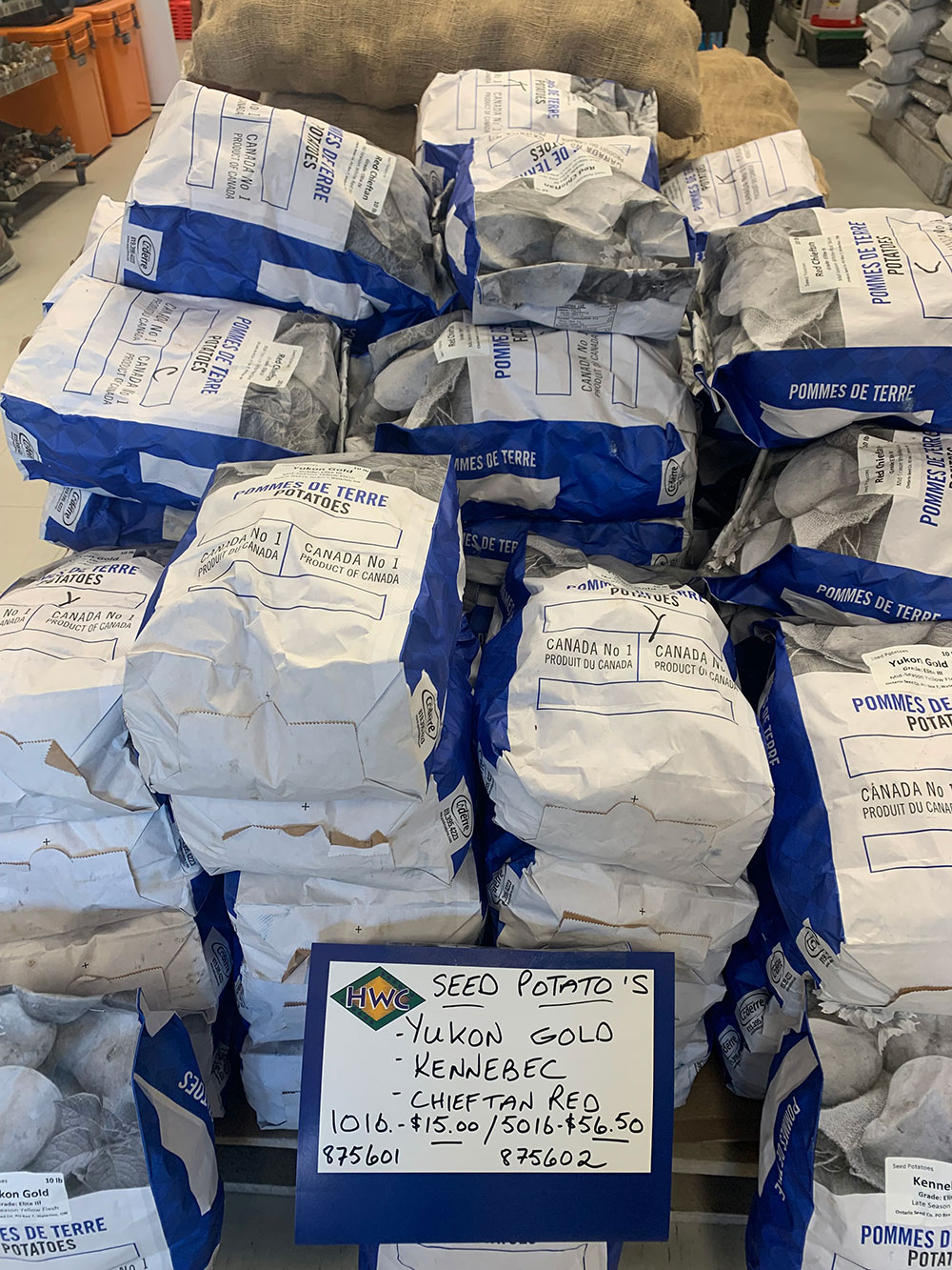 Bulk Potatoes